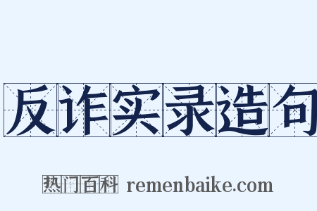 反诈实录造句是什么意思的图片